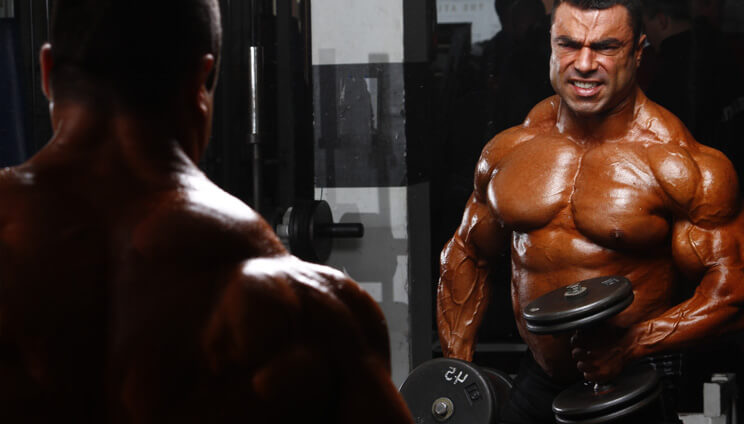 ▷ Cutting e Bulking – Ganhar Massa Muscular e Definição【HSN Blog】