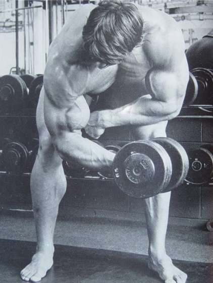 treino de bíceps